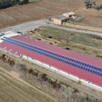 Placas solares, ¿en el techo o en el suelo?