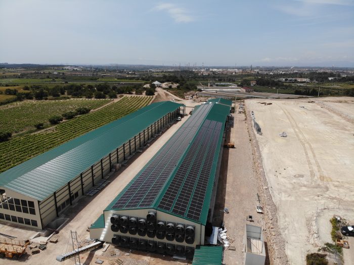 Autoconsumo solar fotovoltaico industrial con apoyo de grupo electrógeno