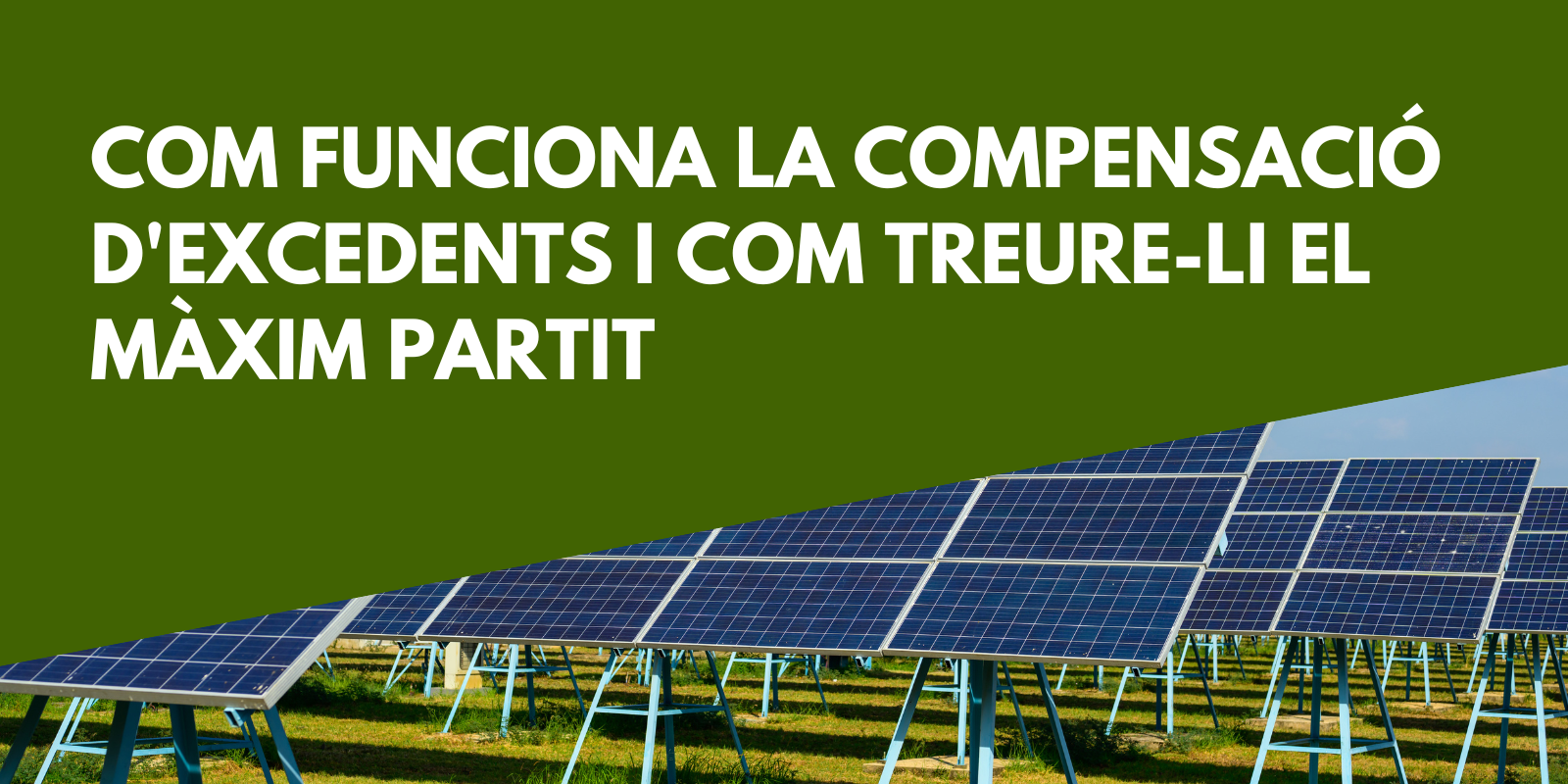 compensació d'excedents