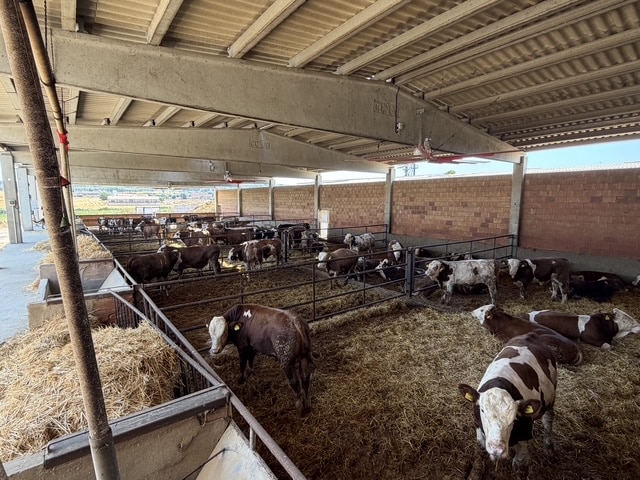 Ventilación solar directa aislada en granja